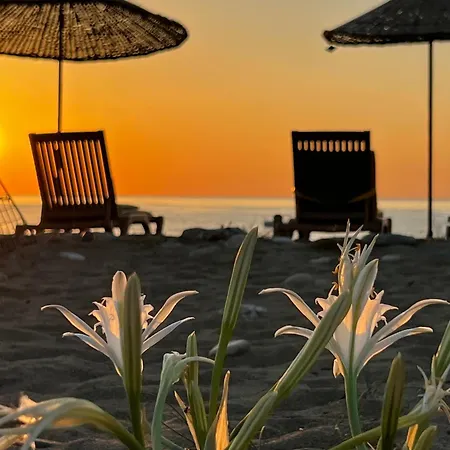 Ferienpark Myland Nature Çıralı