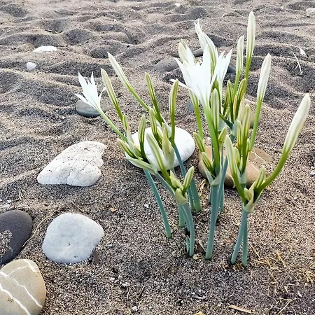 Myland Nature Prázdninový areál 2*