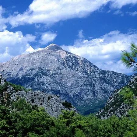 Myland Nature