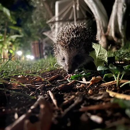 Myland Nature Prázdninový areál Çıralı