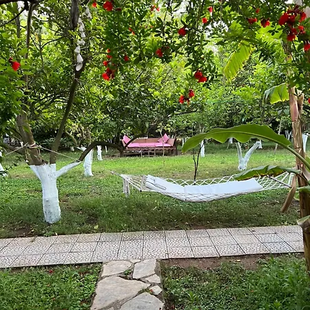 Village de vacances Myland Nature Çıralı