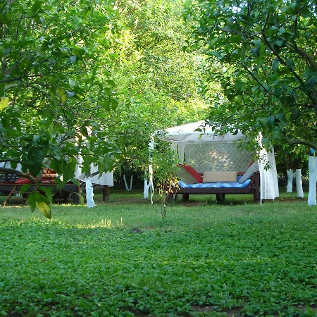 Myland Nature Cirali